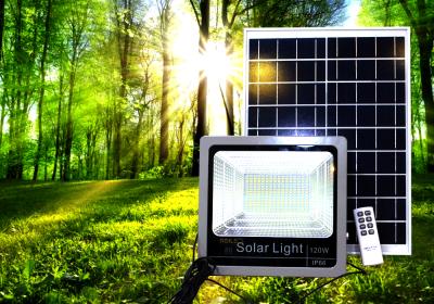 Cảnh Báo: 5 Sai Lầm Phổ Biến Khi Mua Đèn Năng Lượng Mặt Trời Online Giá Rẻ