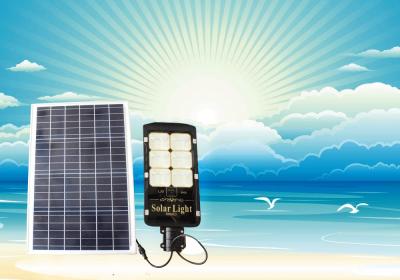 Lắp Đặt Đèn Năng Lượng Mặt Trời Tại Khu Vực Ven Biển: Giải Pháp Chống Ăn Mòn Muối Mặn