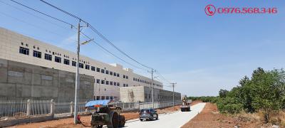 Phân Tích Kinh Tế Dài Hạn: Đèn Năng Lượng Mặt Trời Hay Đèn Điện Lưới Truyền Thống?